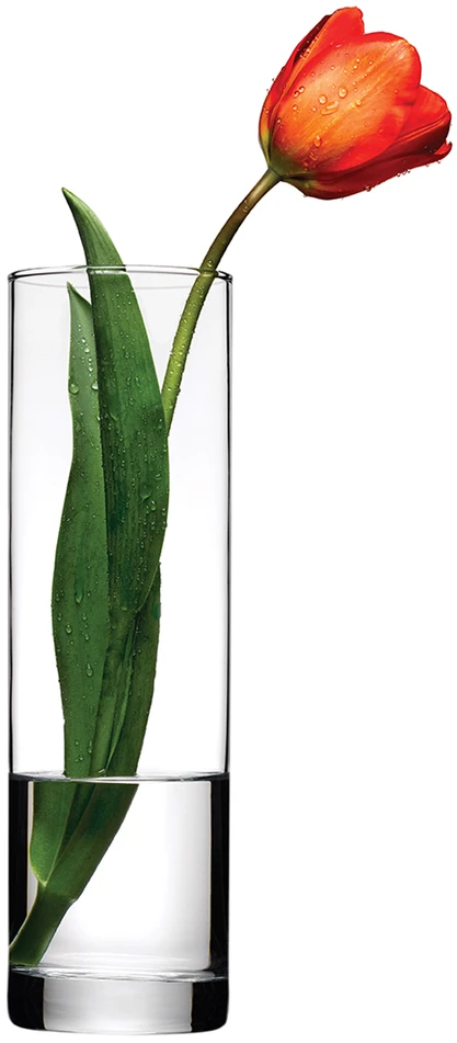 Vaza stiklinė skaidri D8xH26,5 cm FLORA Pasabahce 74759