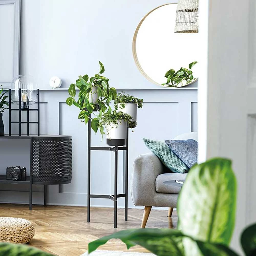Prosperplast gėlynas BLOOMIE STAND - balta