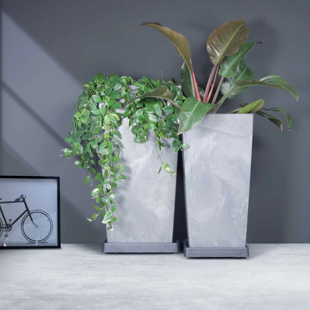 „Prosperplast“ mobili lėkštutė 44,6 cm kvadratinė IPRS450-S433