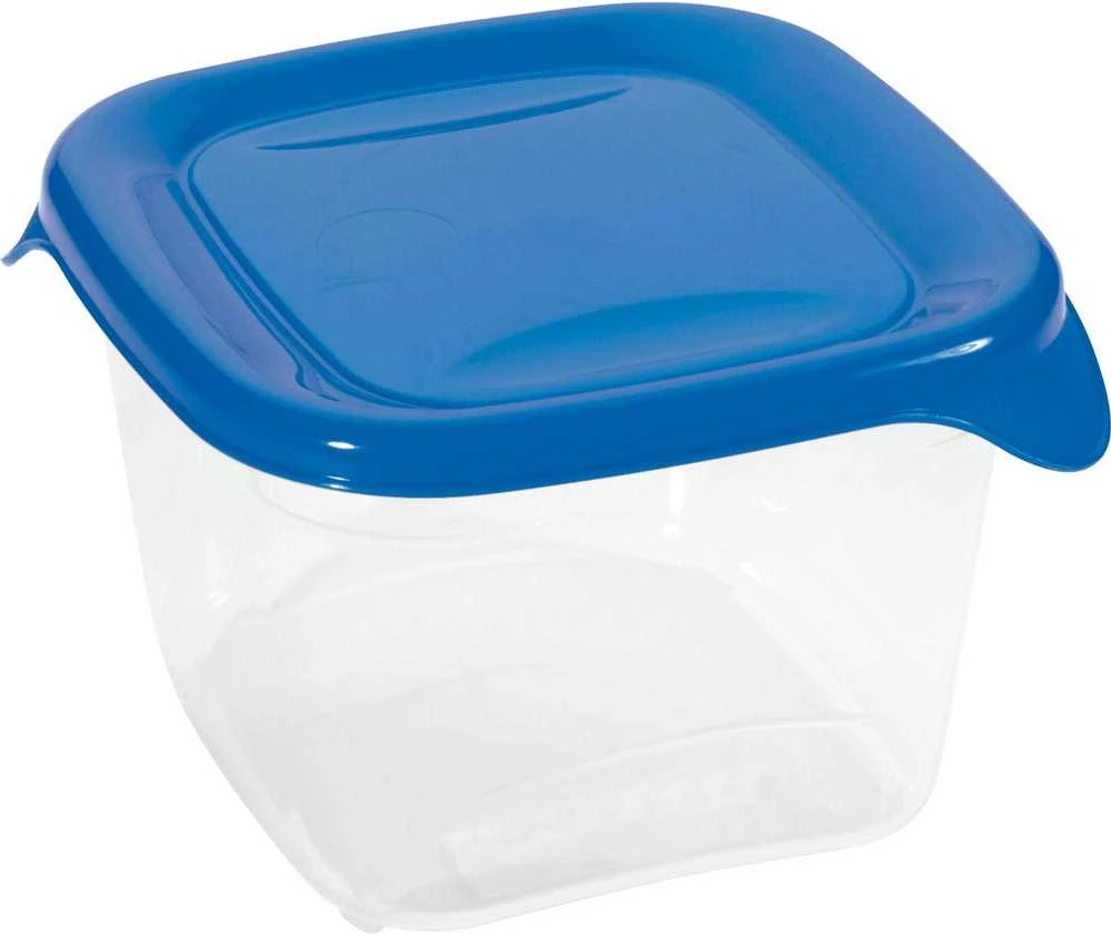 Galicja Keter CURVER MAISTO DĖŽUTĖ „FRESH&GO” 0,45L /MĖLYNA/SKAIDRI