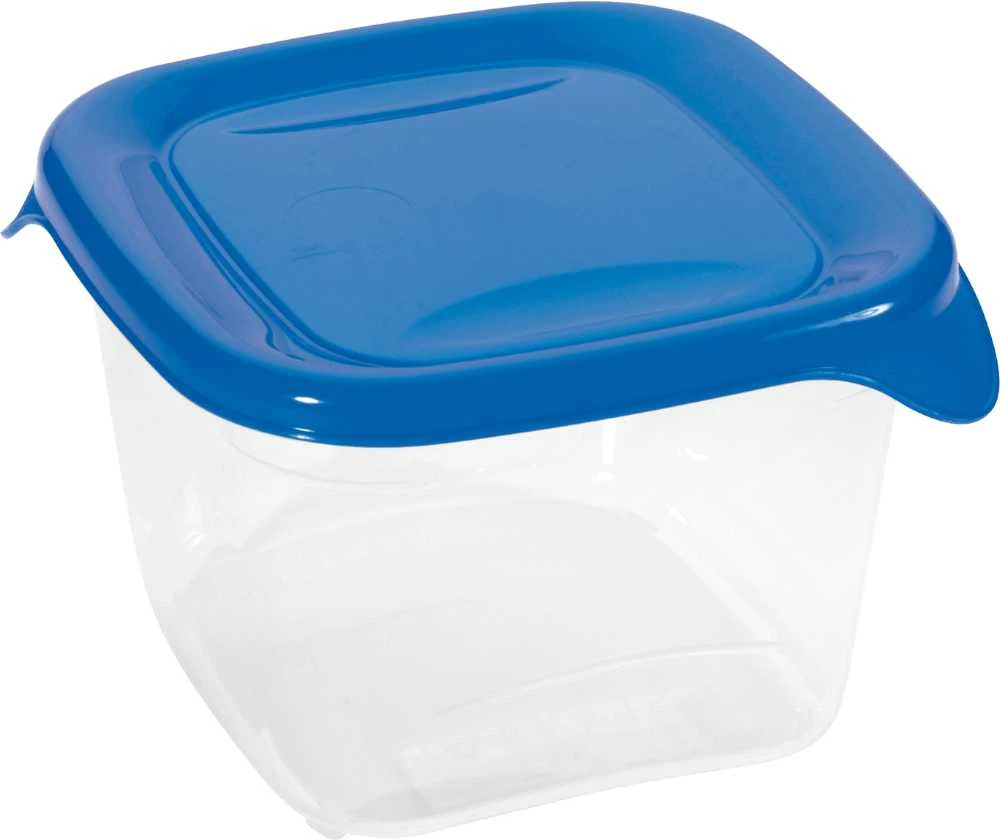 Galicja Curver / Keter CURVER MAISTO KONTEINYS "FRESH&GO" SQUARE 1.2L /Mėlynas/ SKAIDRUMAS