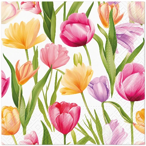 Popierinės servetėlės Tulip Svajonių raštas 33 x 33 cm 20 vnt. PAW