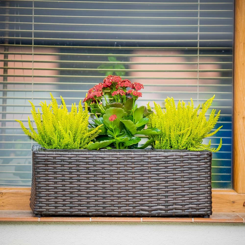 Stačiakampis sodo vazonas 48 x 18 x 18 cm wenge PATIO