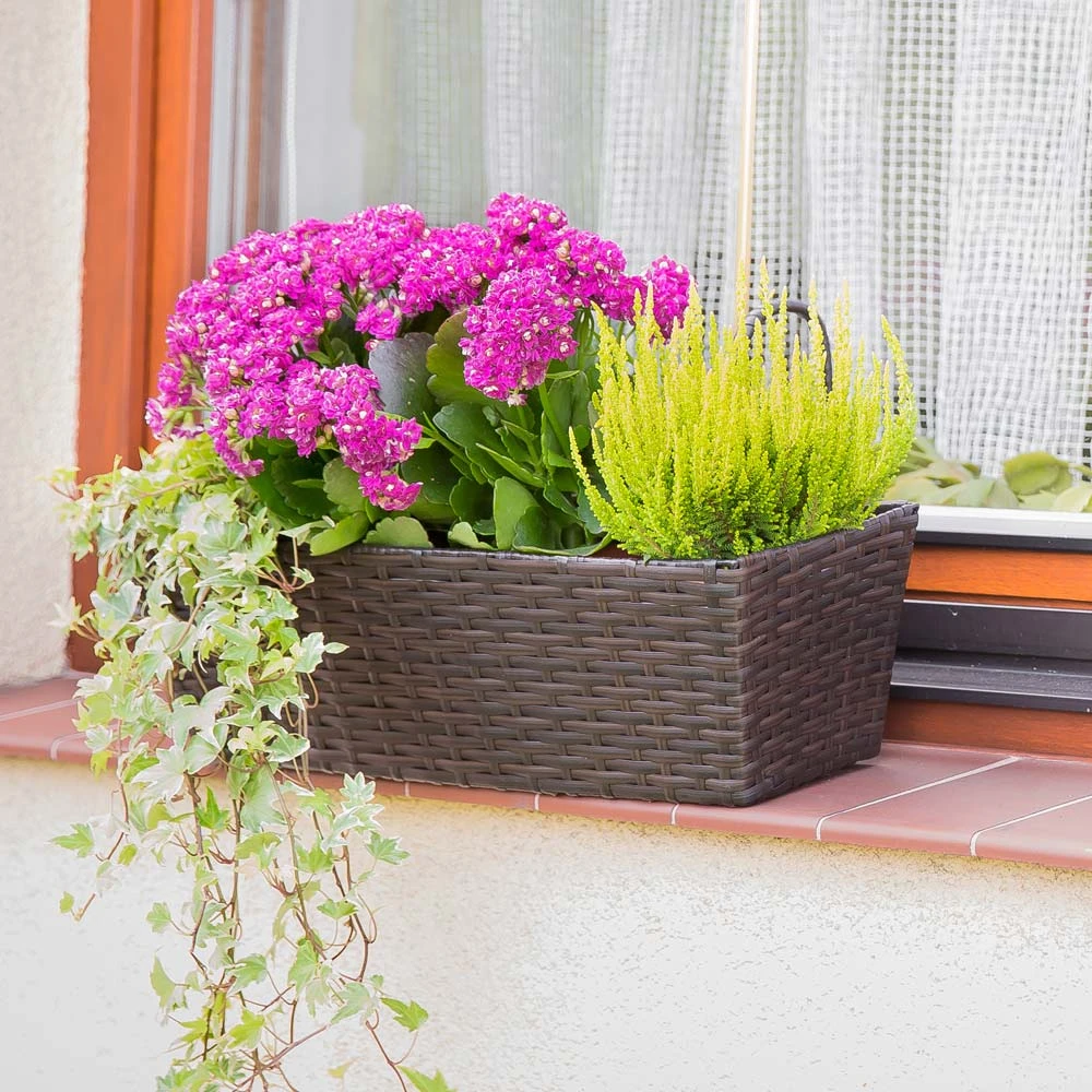 Stačiakampis sodo vazonas 49 x 16 x 14,5 cm wenge PATIO