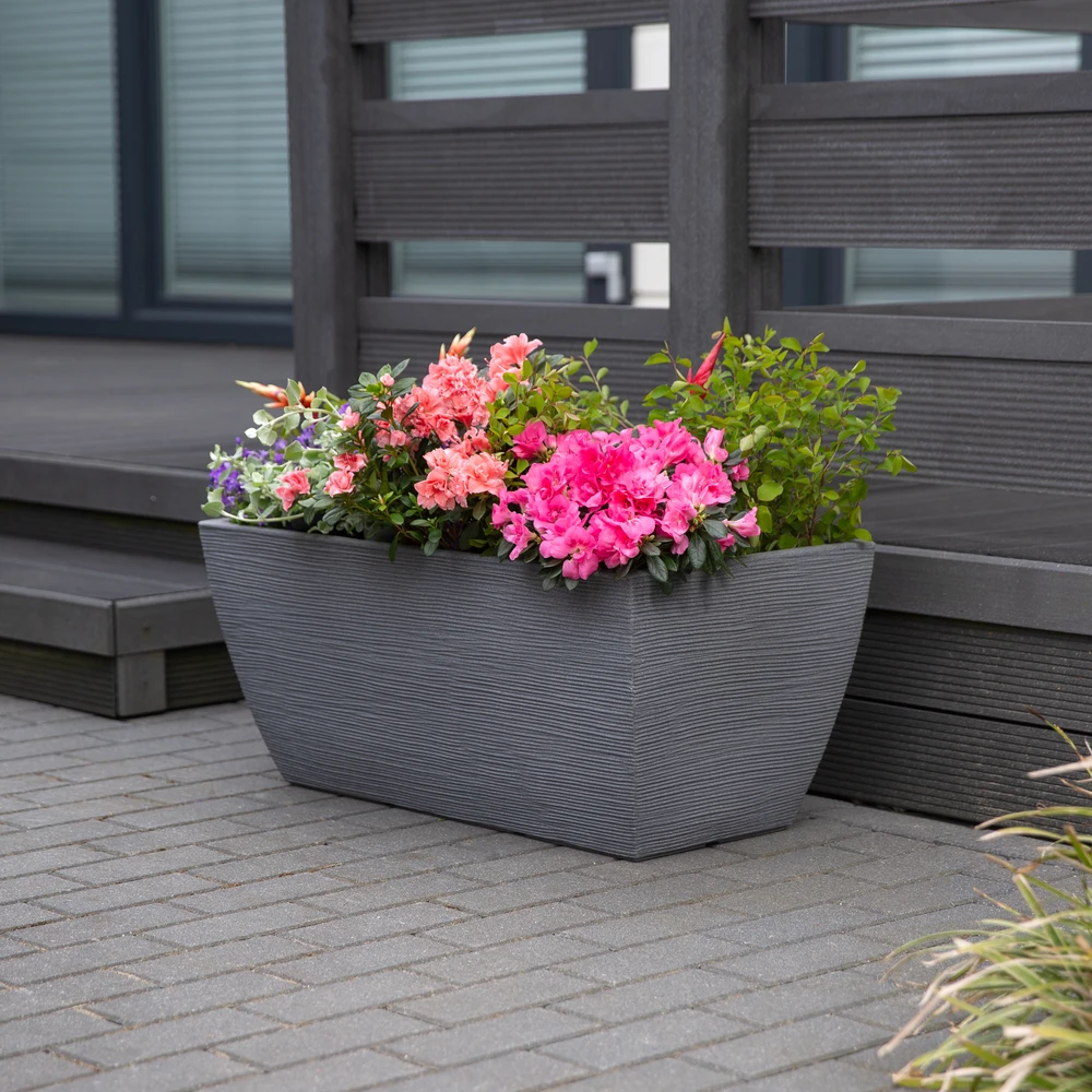 Stačiakampis sodo vazonas 80 x 40 x 34 cm pilkas PATIO