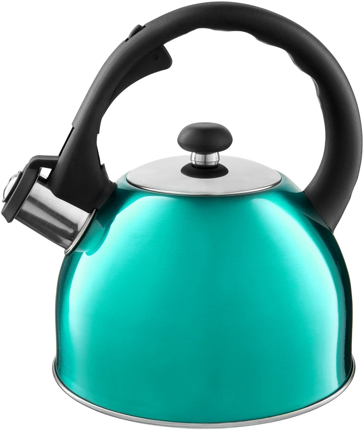 Turkio spalvos virdulys su švilpuku 1,5 l