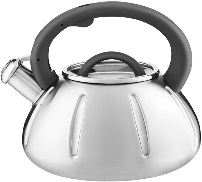 Dajar Ambition Melody plieninis virdulys 2,5 l