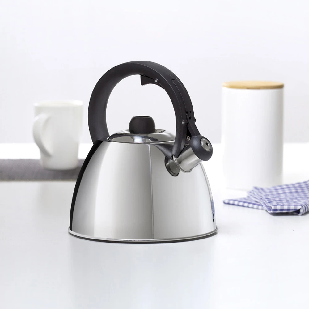 Ambition VIKOS plieninis virdulys 2,5 l