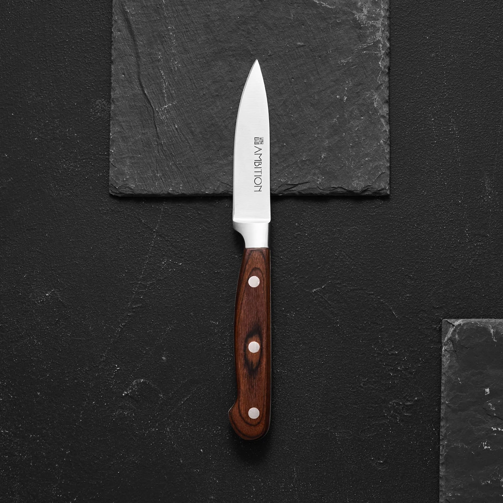 Virtuvinio peilio skustuvas Titanium 9 cm AMBITION