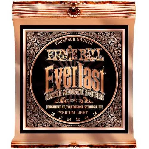 Stygos ak. gitarai Ernie Ball P02546