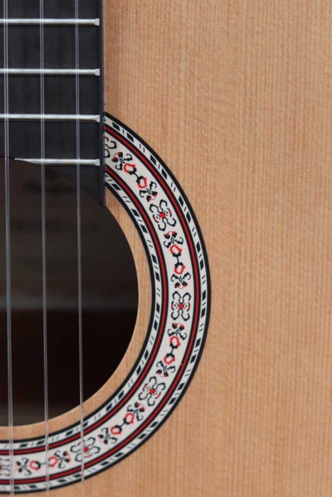 Prodipe Guitars Primera 7/8 - klasikinė gitara