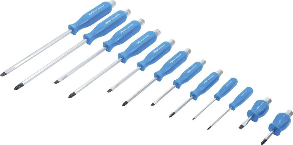 Grąžtas Bgs Technic Atsuktuvų rinkinys | kalami | 12 vnt. (7890)