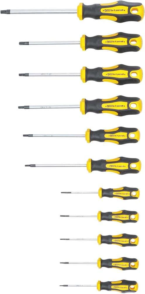 Bgs Technic Atsuktuvų rinkinys | T-Star (Torx) | T6-T40 | 11 vnt. (7844)