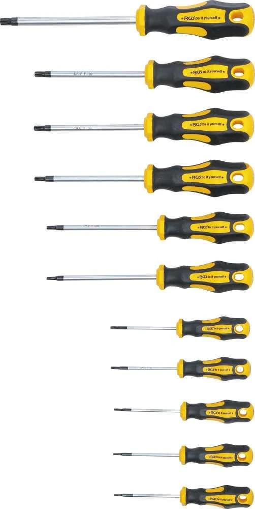 Bgs Technic Atsuktuvų rinkinys | T-Star su skyle (Torx) | T6-T40 | 11 vnt. (7845)