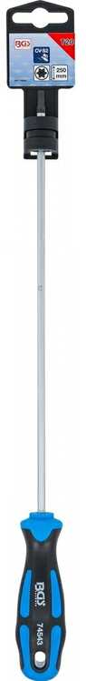 Bgs Technic Atsuktuvas | T-Star (Torx) T20 | ilgas tipas | 250 mm (74543B)