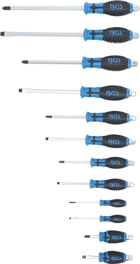 Grąžtas Bgs Technic Atsuktuvų rinkinys | kalami | 12 vnt. (7895)