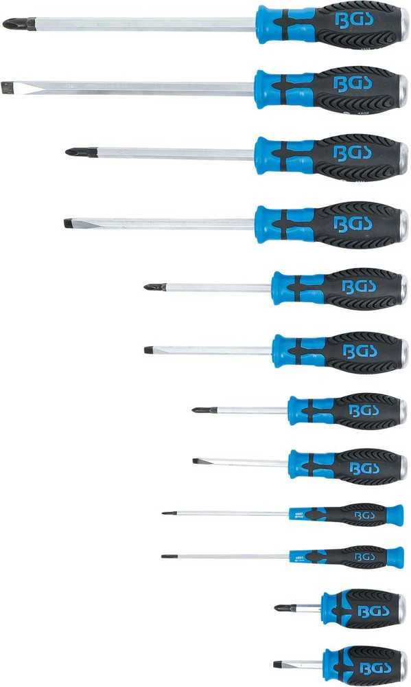 Bgs Technic Atsuktuvų rinkinys | su 6,3 mm (1/4") vidiniu kvadratu | kalami | 12 vnt. (7896)