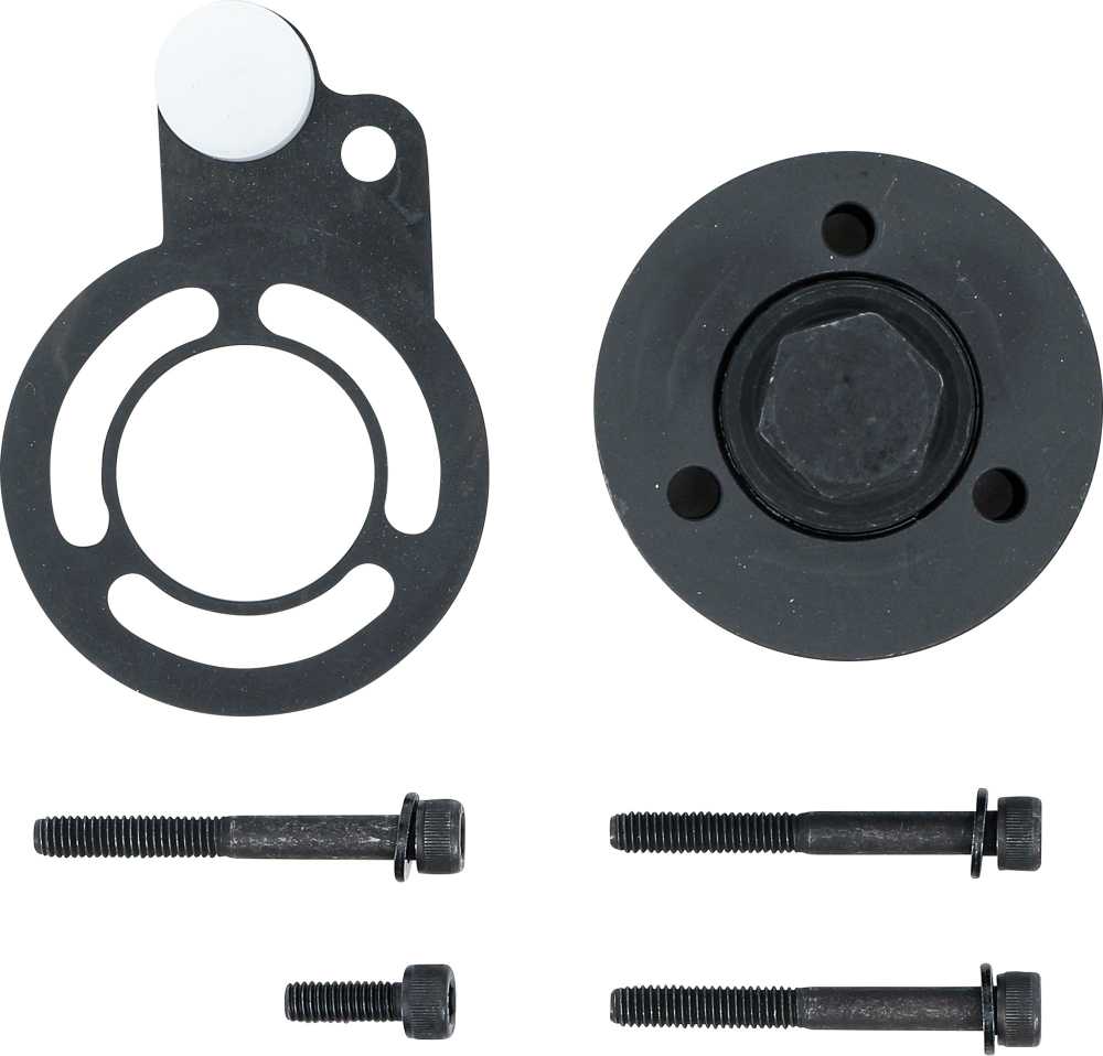 Bgs Technic Dyzelinio siurblio žvaigždutės traukiklis | Renault / Nissan / Opel (70960)