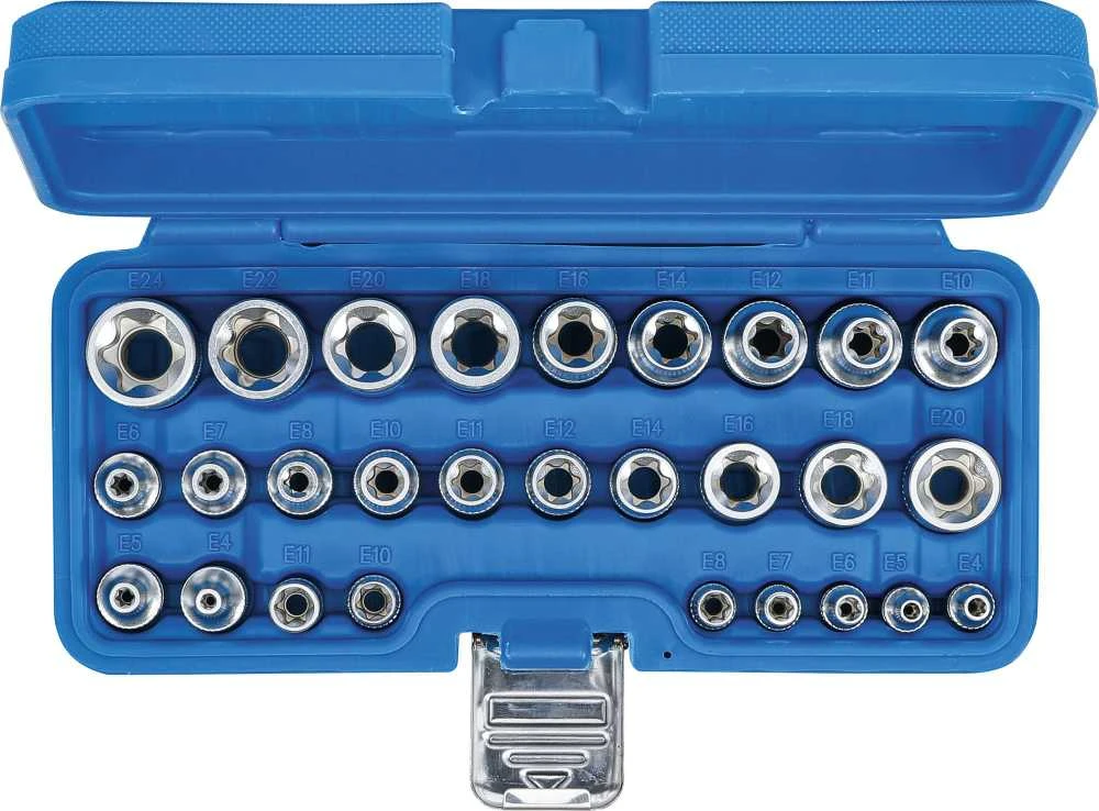 Bgs Technic Galvučių rinkinys E-Tipas | 6.3 mm (1/4") / 12.5 mm (1/2") | | E4 - E24 | 28 vnt. (70099)