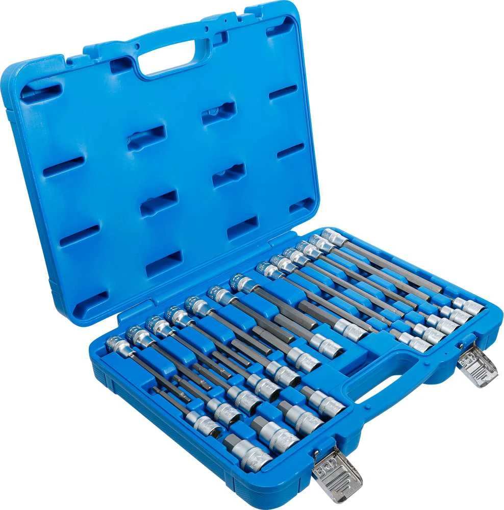 Bgs Technic Įpresuotų HEX antgalių rinkinys 1/2" 5–19 mm 30 vnt. (5181)