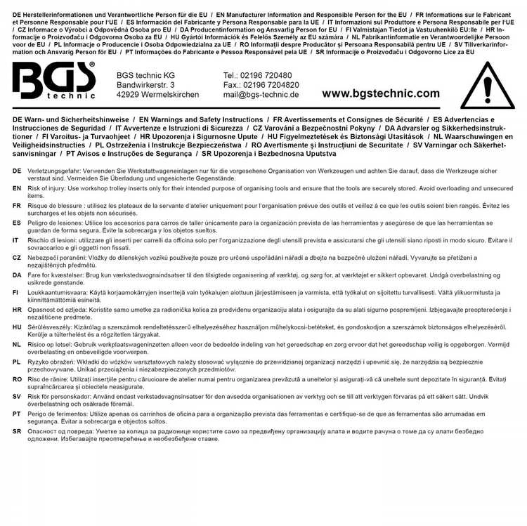 Bgs Technic Įrankių dėklas 1/3: Atsuktuvų rinkinys su slankiojančia T formos rankena | vidinis šešiakampis | 2 - 10 mm | 8 vnt. (6081)