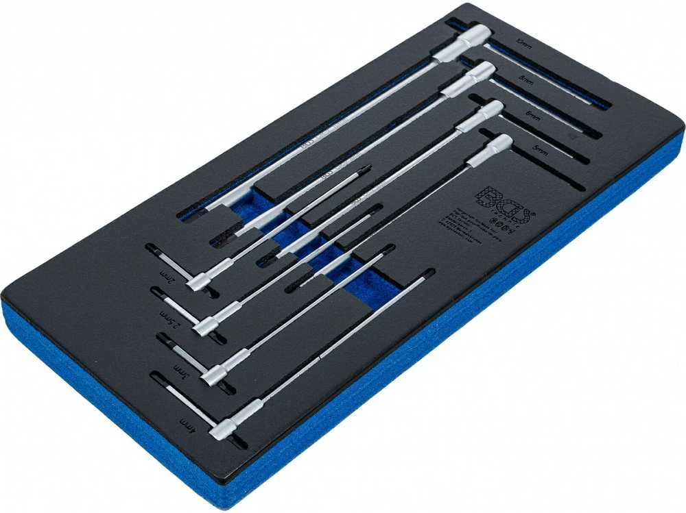 Bgs Technic Įrankių dėklas 1/3: Atsuktuvų rinkinys su slankiojančia T formos rankena | vidinis šešiakampis | 2 - 10 mm | 8 vnt. (6081)