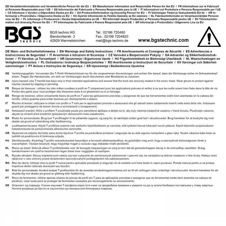 Bgs Technic Įrankių dėklas 1/3: Atsuktuvų rinkinys su slankiojančia T formos rankena | T-Star (Torx) | T10 - T50 | 9 vnt. (6090)