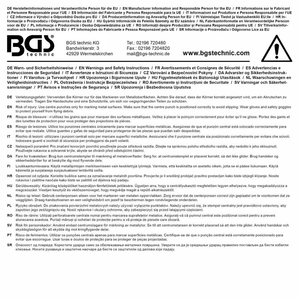 Bgs Technic Išmušėjų ir kaltų rinkinys | su rankų apsauga | 13 vnt (74596)