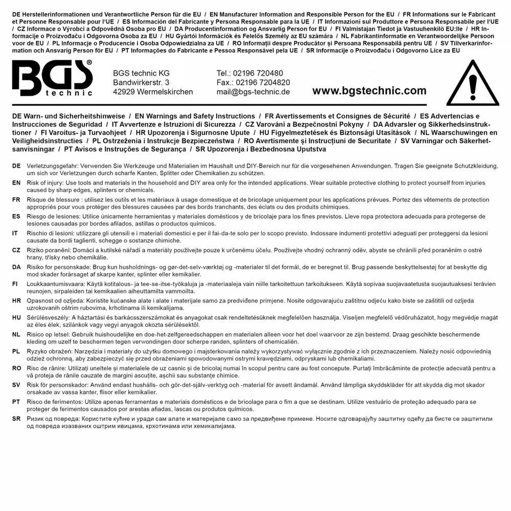 Bgs Technic Kempininių šepetėlių rinkinys | 12 vnt. (76520)