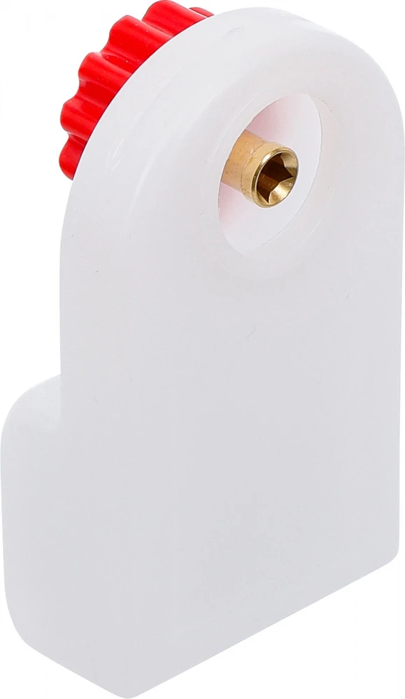 Bgs Technic Radiatorių nuorintojas su surinkimo indu | 65 ml (50508)