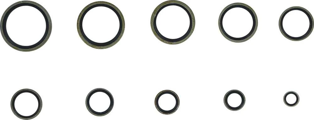 Bgs Technic Sandarinimo žiedų asortimentas | metalas | su guminiu sandarinimo žiedu | 150 vnt. (9306)