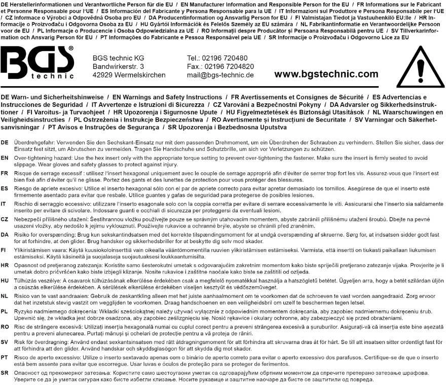 Bgs Technic Smūginė galvutė šešiakampė | 6,3 mm (1/4") | 10 mm (7290)