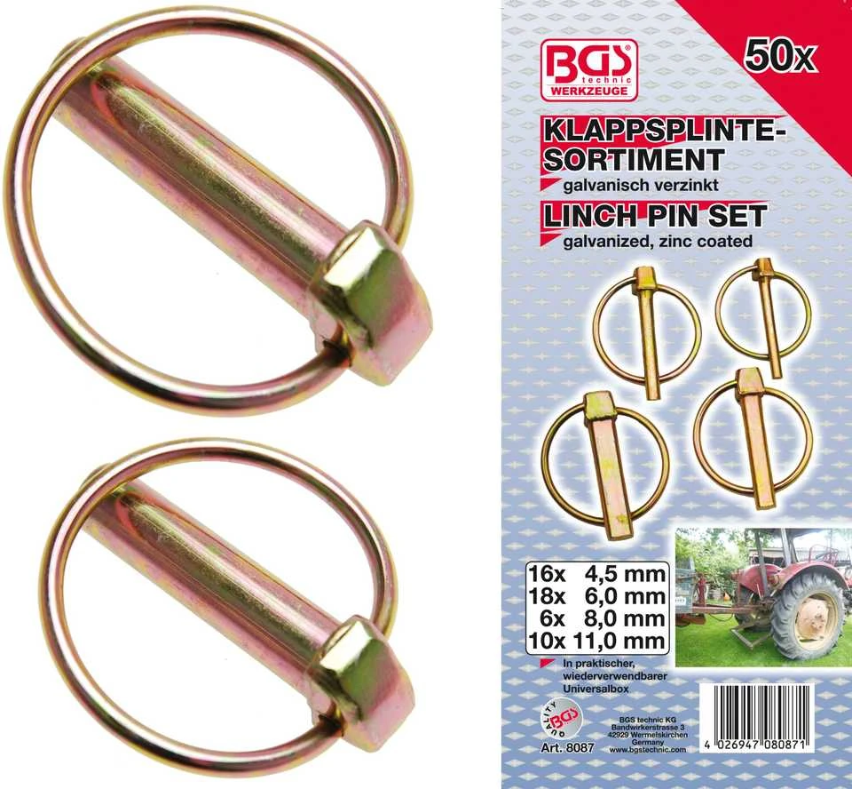 Bgs Technic (Už)kaiščių / kuolelių asortimentas | 50 vnt. (8087)