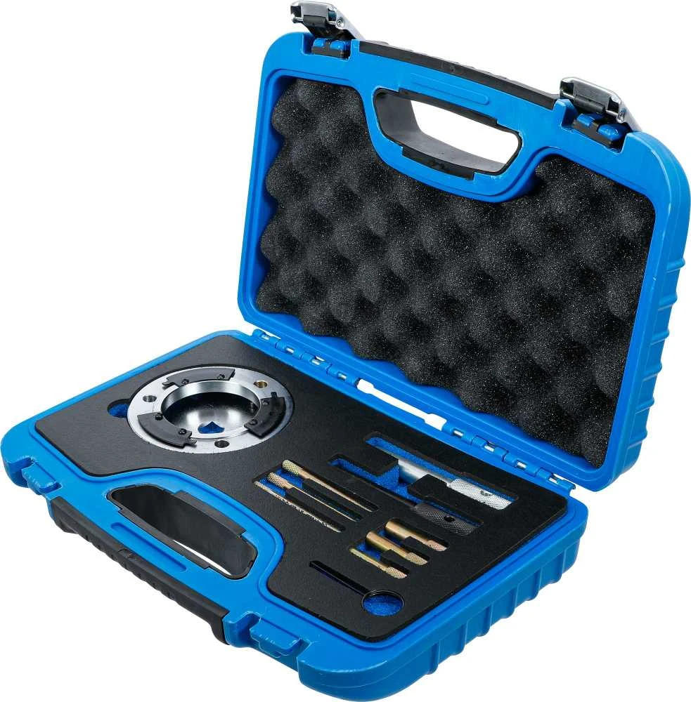 Bgs Technic Variklio fiksavimo rinkinys | Ford 2.0, 2.4 TDCi (8317)