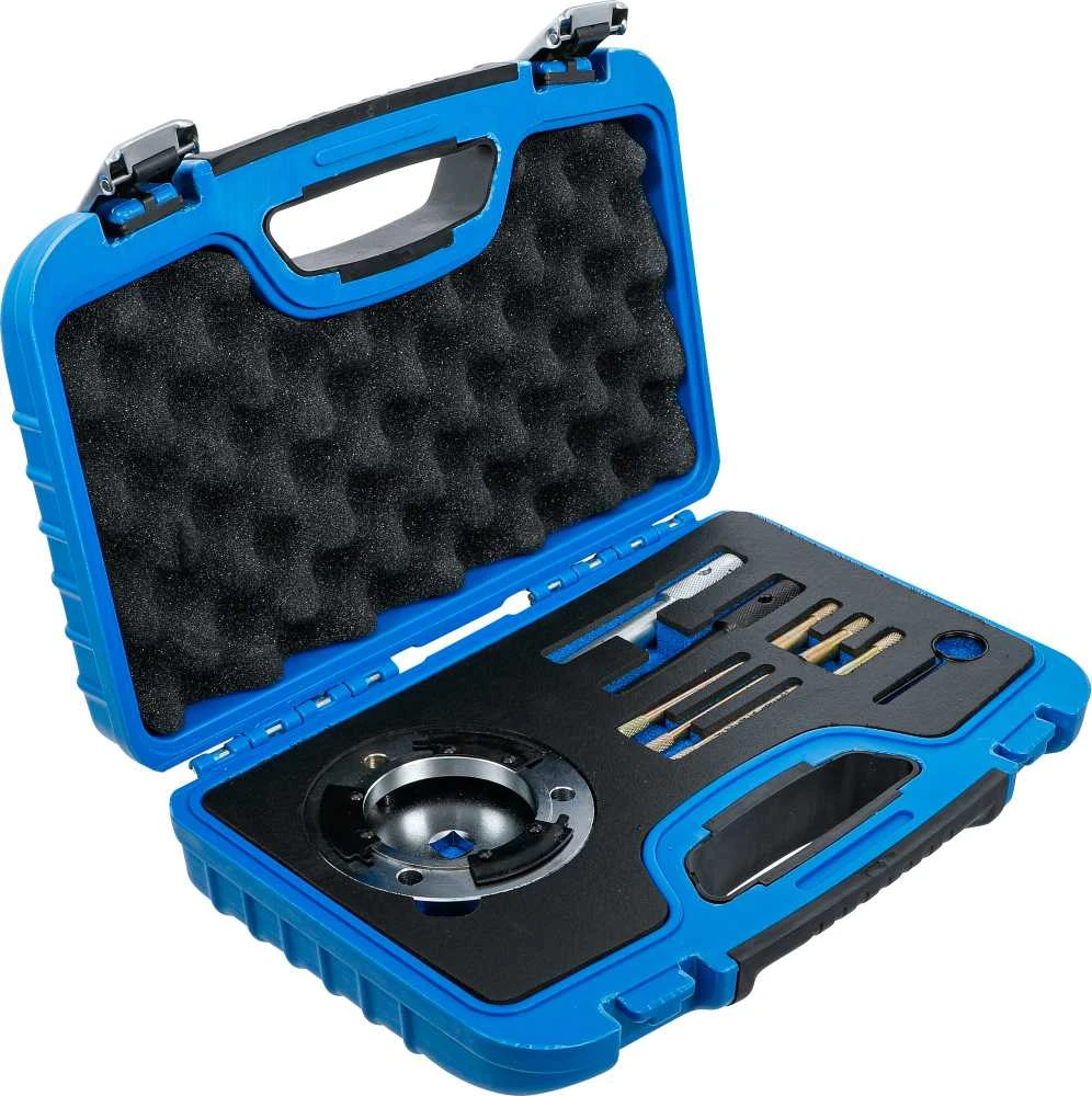 Bgs Technic Variklio fiksavimo rinkinys | Ford 2.0, 2.4 TDCi (8317)