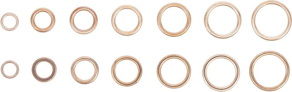 Bgs Technic Varinių tarpinių įpresuotų guma rinkinys | Ø 6-20 mm | 95 vnt. (9313)