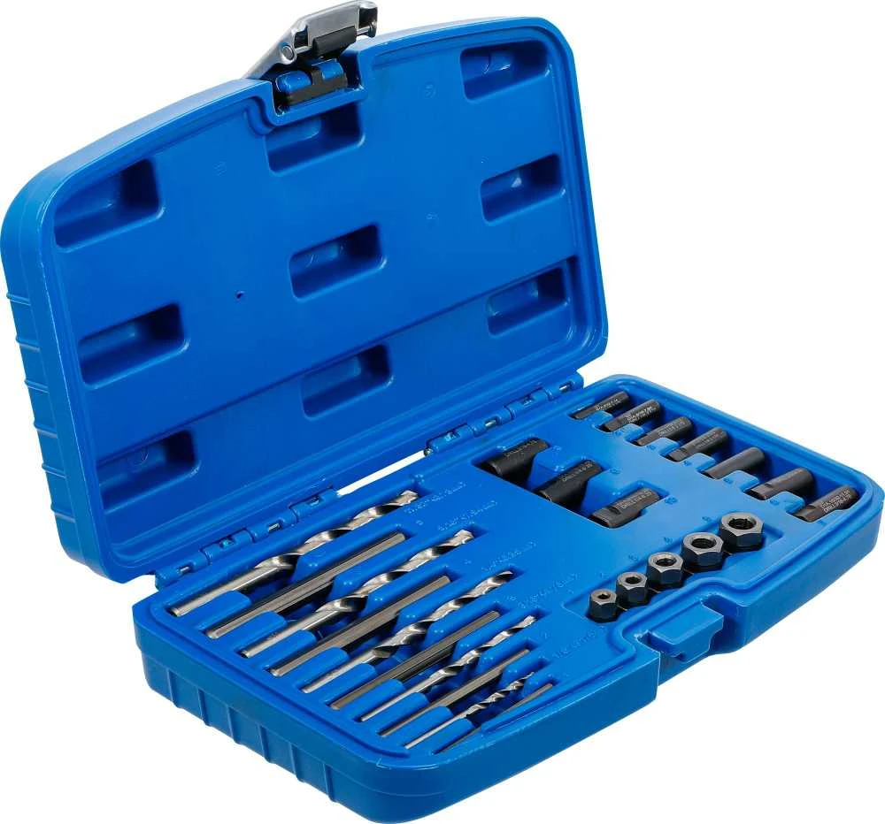 Bgs Technic Varžtų išsukėjų rinkinys HSS | 25 vnt. (8462)