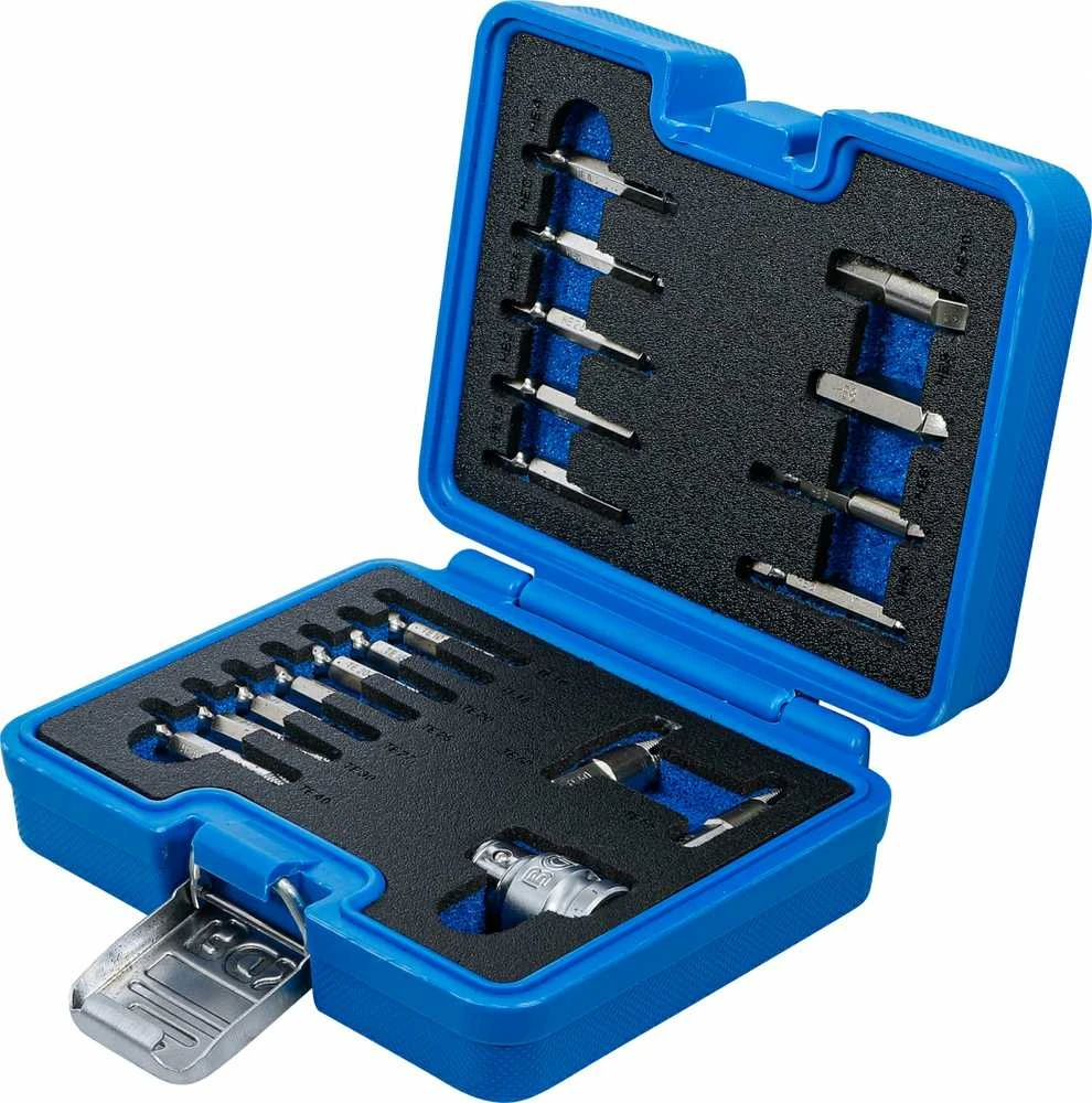 Bgs Technic Varžtų ištraukimo rinkinys | vidiniam šešiakampiui 1,5 - 10 mm / T-Star (Torx) | T10 - T55 | 19 vnt. (9173-1)