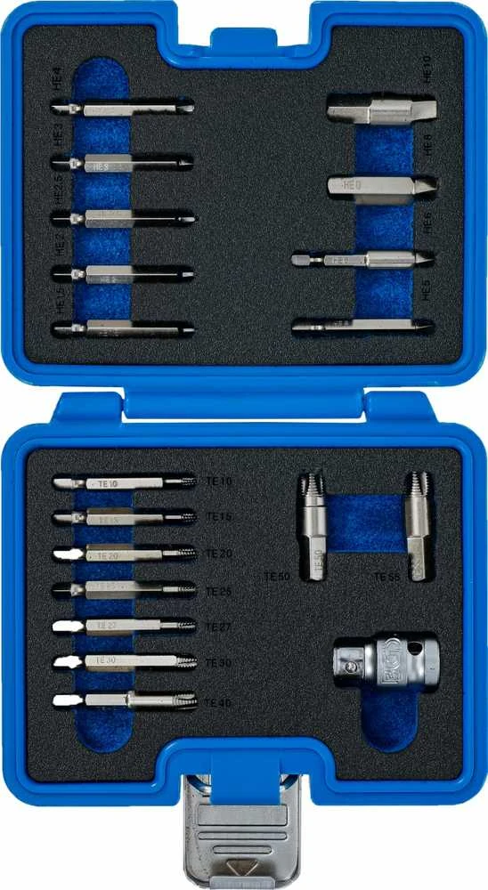 Bgs Technic Varžtų ištraukimo rinkinys | vidiniam šešiakampiui 1,5 - 10 mm / T-Star (Torx) | T10 - T55 | 19 vnt. (9173-1)