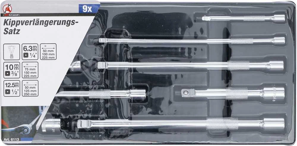Bgs Technic Ilgintuvų rinkinys | šarnyriniai | 6.3 mm (1/4") / 10 mm (3/8") / 12,5 mm (1/2") | 9 vnt. (6113)