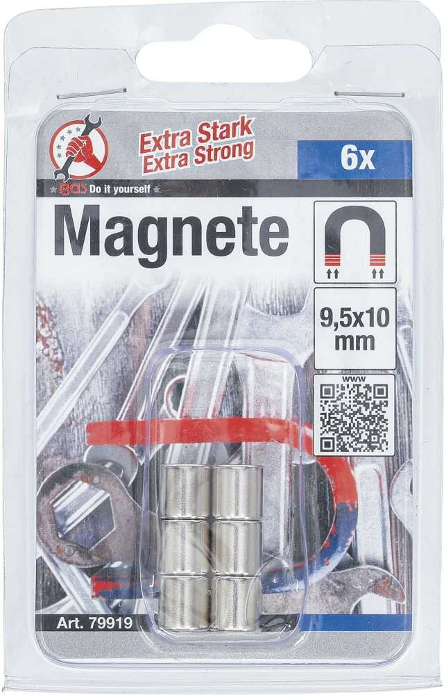 Bgs Technic Magnetų rinkinys | ypač stiprūs | Ø 9,5 mm | 6 vnt. (79919B)