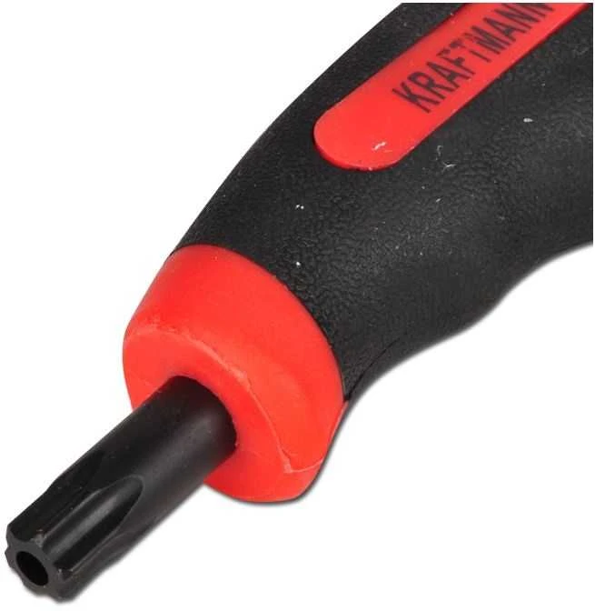 Bgs Technic T-rankenėlių atsuktuvų rinkinys | T-Star su skyle (Torx) | T10-T50 | 9 vnt. (7880)