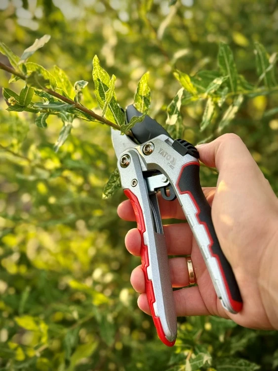 Toya Sa Poland Genėjimo žirklės atraminio tipo su reketiniu mechanizmu 190 mm (YT-88122)