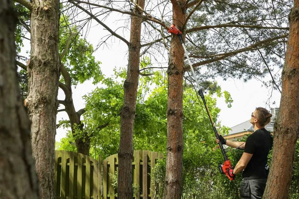 Grandininis pjūklas Yato Toya Sa Poland Daugiafunkcinis akumuliatorinis sodo įrankis | 18V | be baterijos (YT-828391)