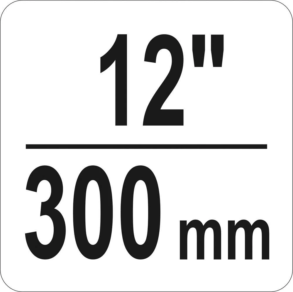 Toya Sa Poland Spaustuvas su varžtu "C" tipo 12", 300 mm (YT-64258)