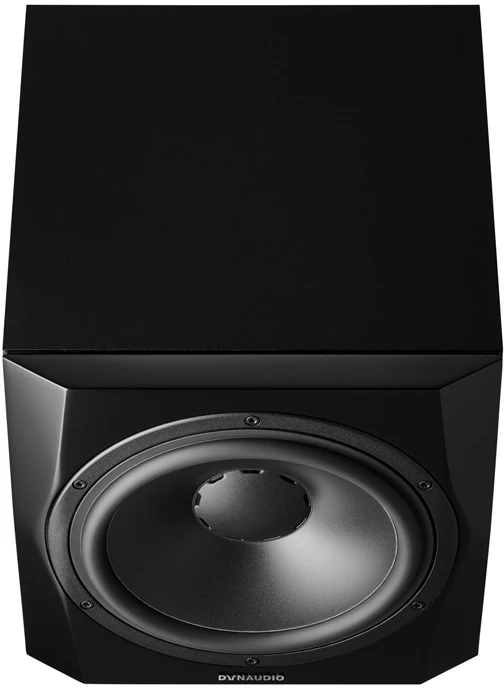 Dynaudio 9S žemų dažnių garsiakalbis priekiniu kampu