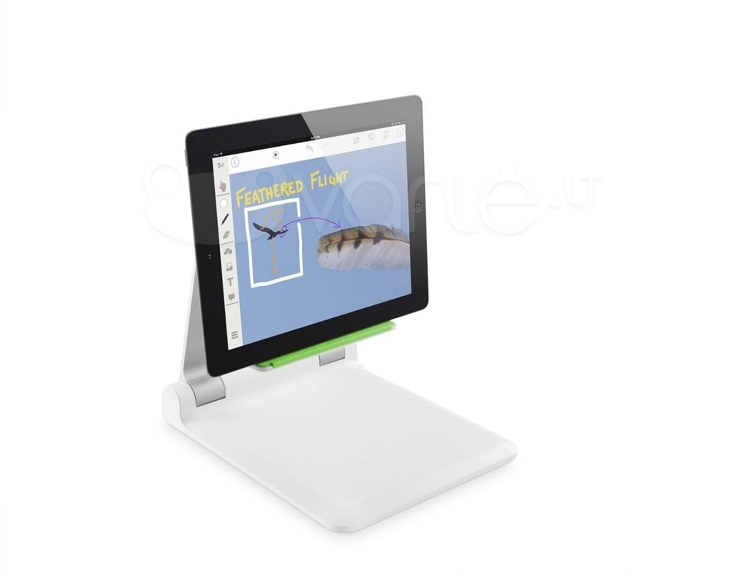 Belkin nešiojamasis planšetinis kompiuteris Stage B2B118