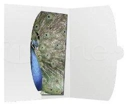 Nuotraukų rėmelis 1x50 Daiber Cover 15x20 baltas