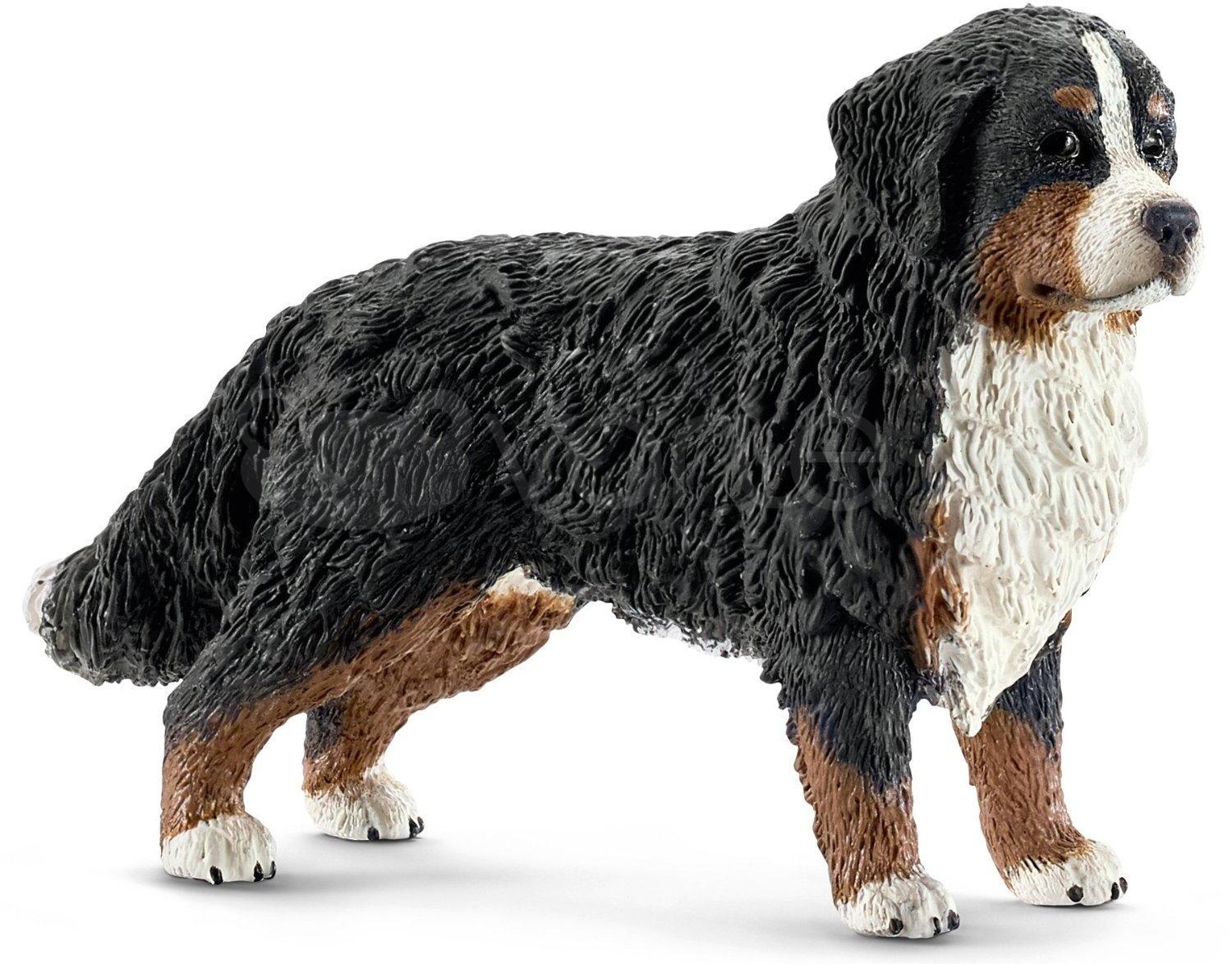Schleich figūrėlė Berno zenenhundų patelė aprašymas - Prekės nuotrauka