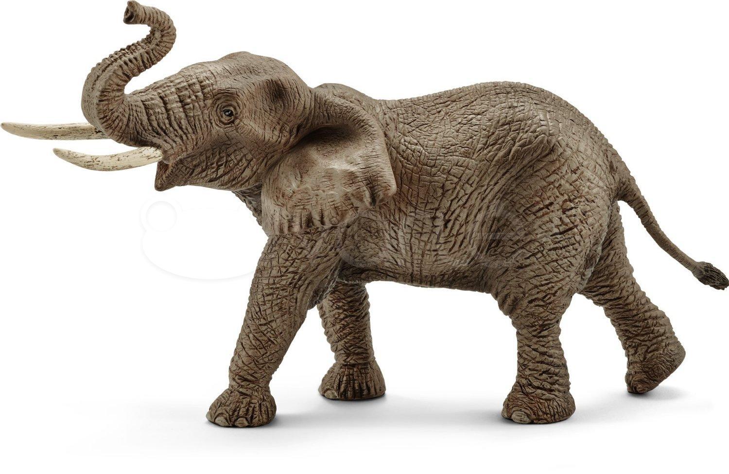 Schleich figūrėlė Afrikinio dramblio patinas